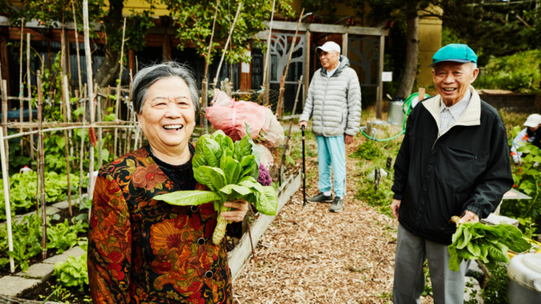support older adults