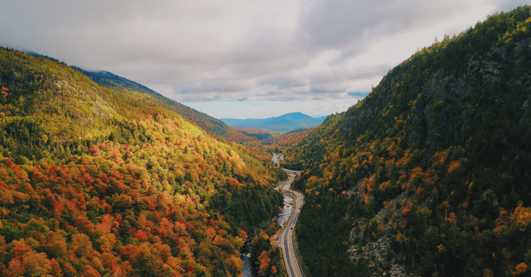scenic road shot of wooded valley rural landscape